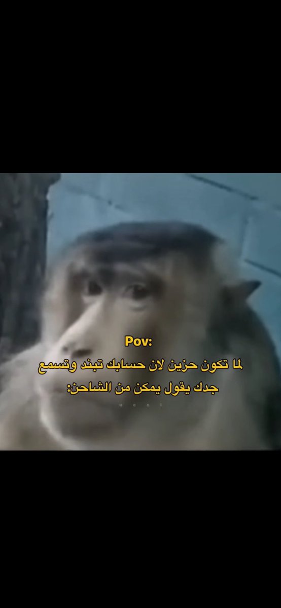 l7nxob's tweet image. 