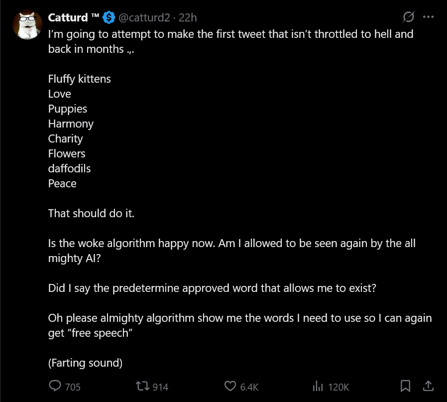 "Emotional support shitposter" Fella ಠ_ಠ tweet media