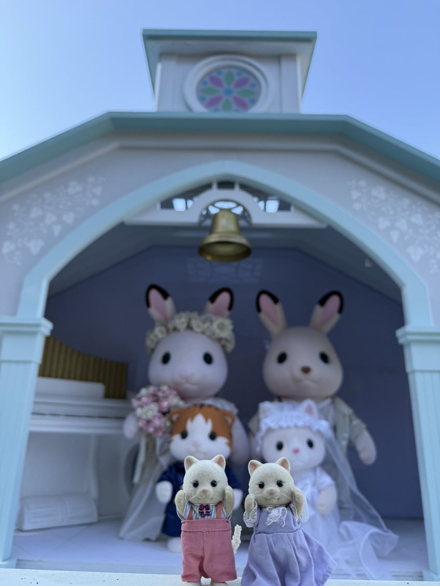 クリームネコのお母さん (@UrbanCreamCat) / Posts / X