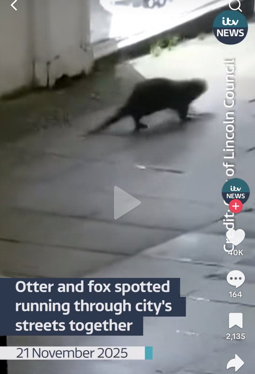 kiakuromiVT's tweet image. Omg it’s me and @yukaaVT