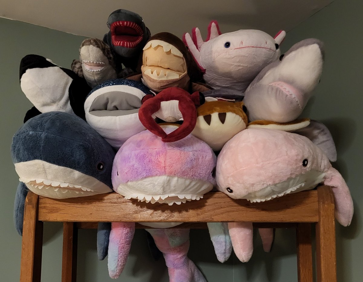 NPCeelie🦋🔀Shapeshifting Vtuber tweet media