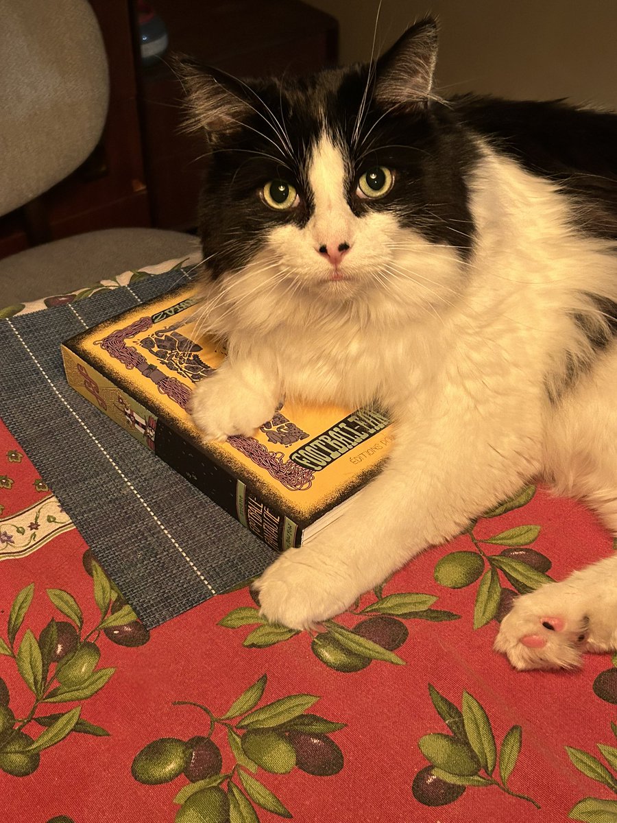 Je dois lire Football fantaisie pour mon cours de la semaine prochaine. Mais Léon ne l’a pas encore terminé.