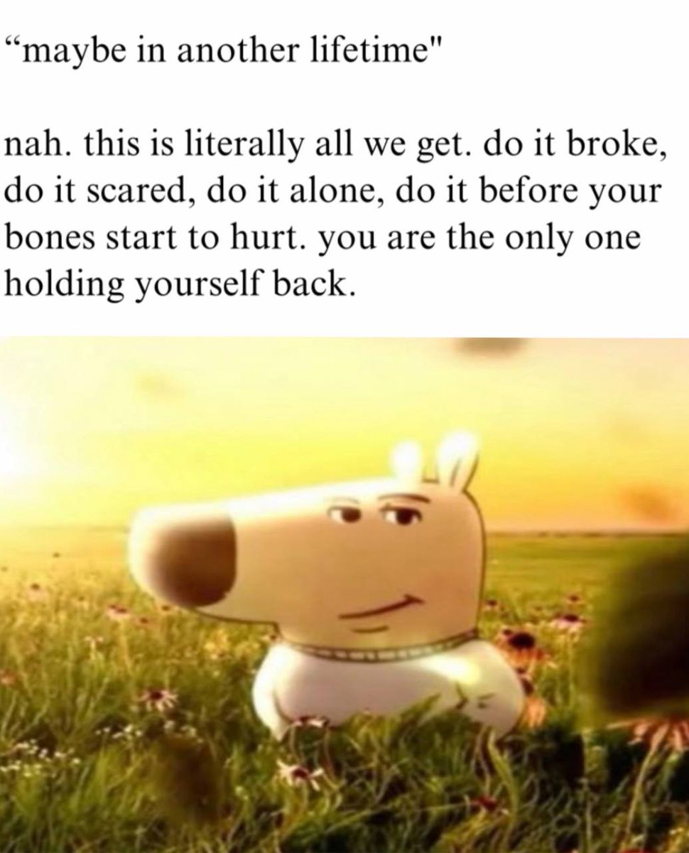 just a chill guy | fan page (@chillguycto) / Posts / X