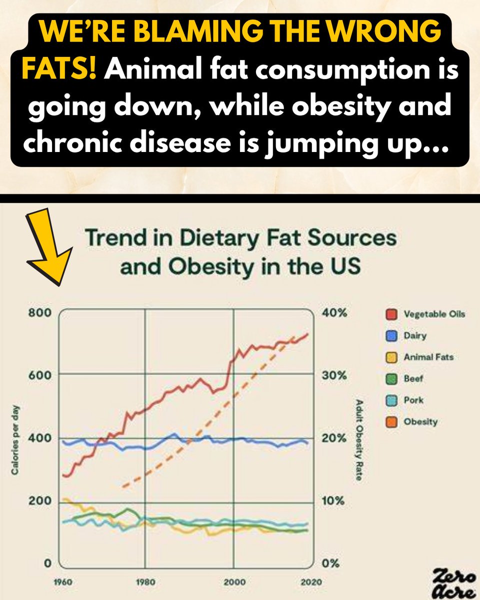 thecarnivorebar's tweet image. We’ve been blaming the wrong fats.
Animal fat went down, chronic disease went up.
#BlameSeedOils #HealthyFats #CarnivoreDiet #AncestralNutrition #EatLikeYourAncestors