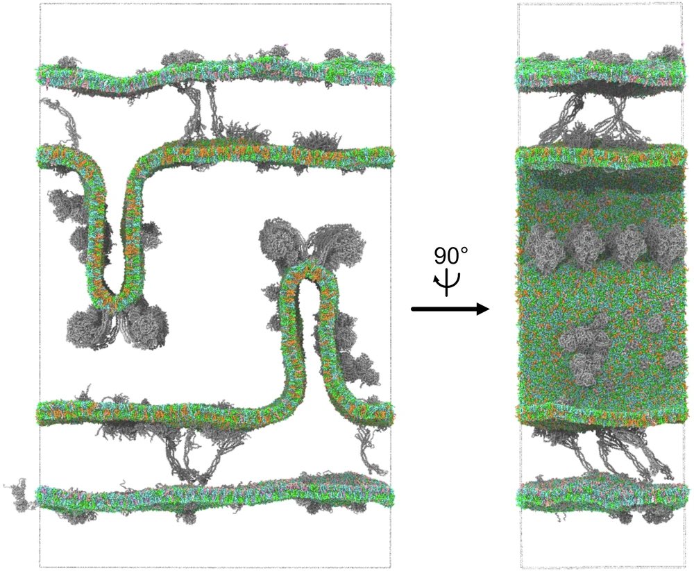 Yungkingmito tweet media