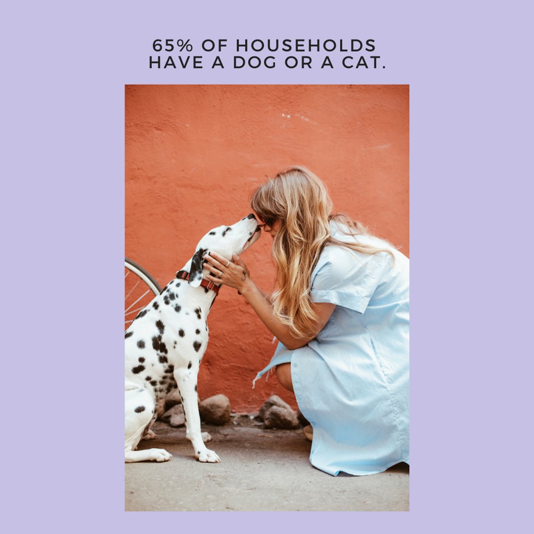 BooneAaron's tweet image. Got a furry family member? You’re in great company!

65% of U.S. households—around 79.7 million—own a dog or cat! 😱

#PetLove #MyPet #PetsAtHome #HomesWithPets #FurryFriends