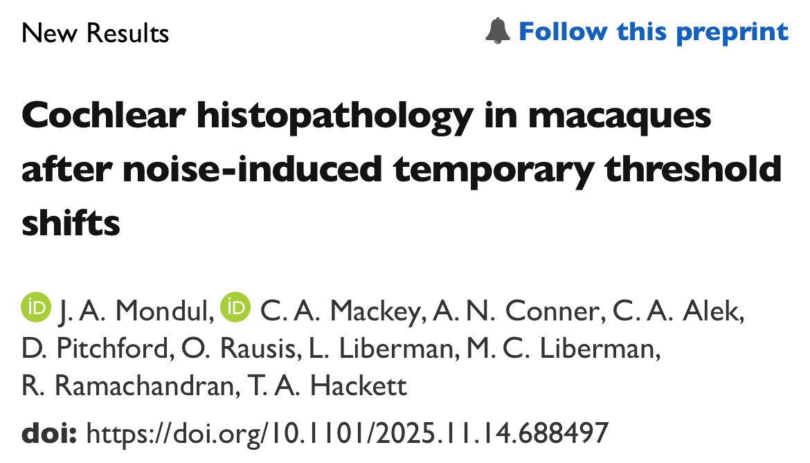 Chase Mackey tweet media