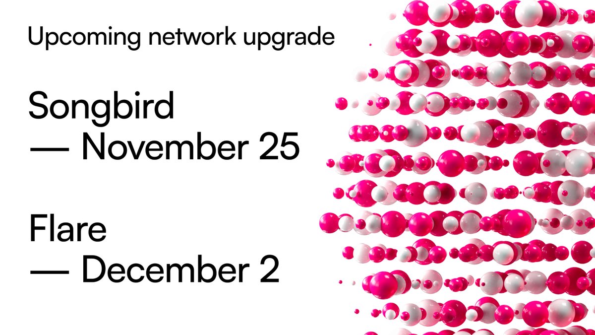 FlareNetworks's tweet image. Upcoming network upgrades: What’s coming &amp;amp; why It matters

@FlareNetworks is preparing for two upcoming hard forks that will introduce major improvements to performance, efficiency, and scalability across the ecosystem. These upgrades activate key components of the Cancun/Dencun…