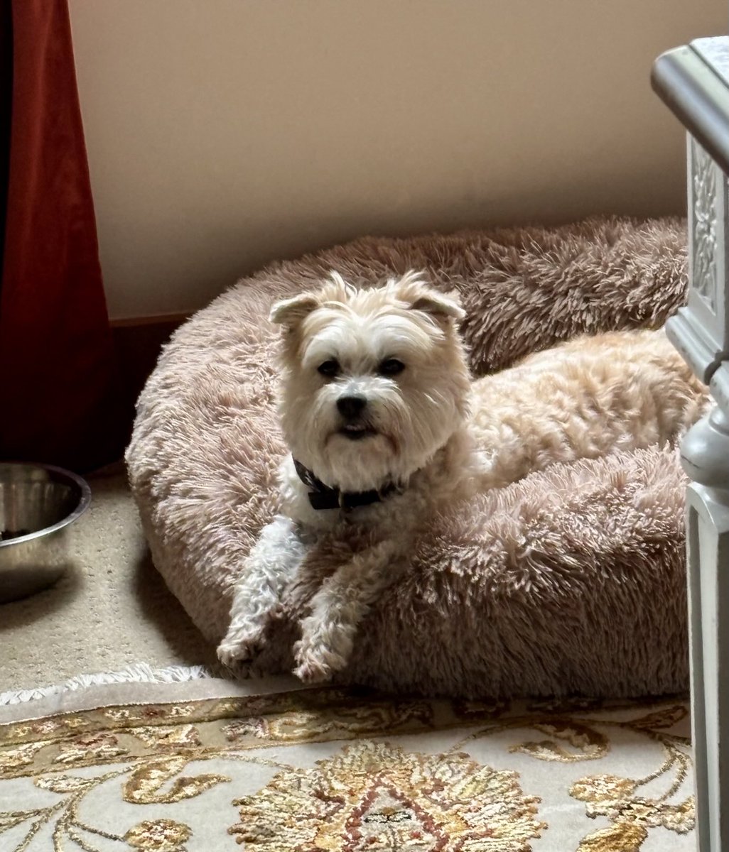 No one knows if this is the beginning the bear market, or if we are JUST about to actually enter a bull market….but he does 🫠