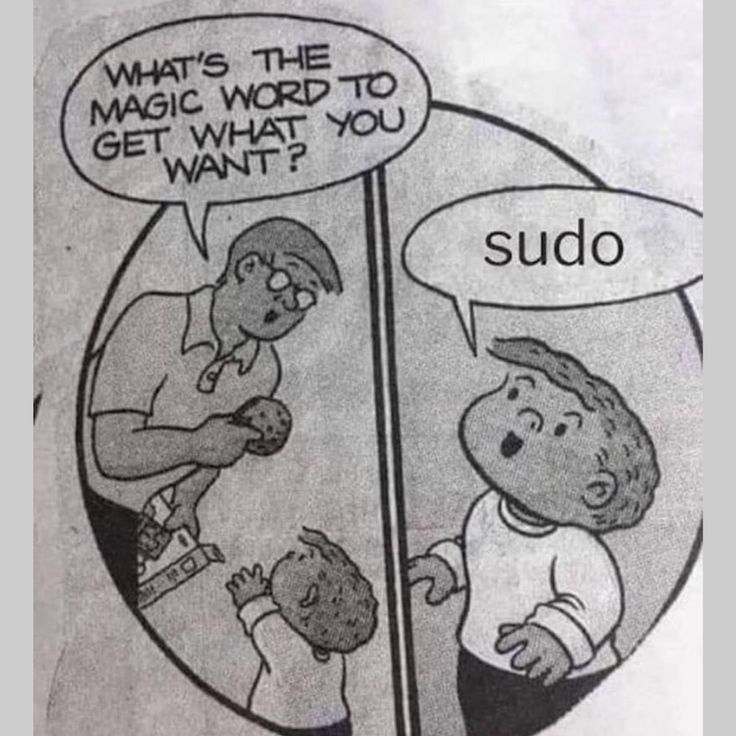 Mohasmith0011's tweet image. If you know, you know — sudo is the real &apos;please&apos; in tech 😂💻 #LinuxLife #TechHumor