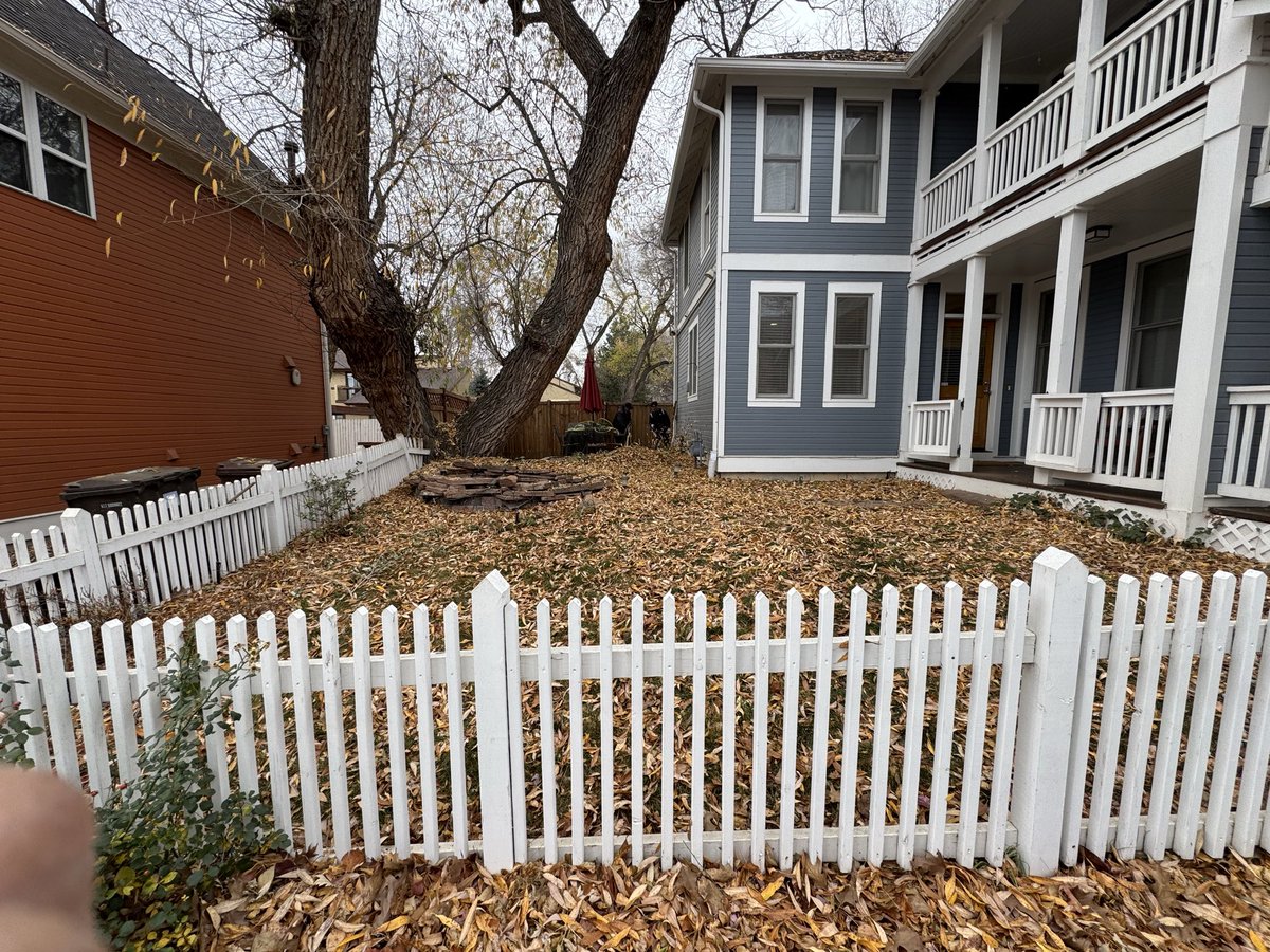 CleanSweepLLC's tweet photo. 🍂 Another satisfied leaf-removal customer!
Their yard is clean, clear, and ready for winter. 🙌

Want the same?
Message us and we’ll handle the cleanup.

#CleanSweepColorado #LeafRemovalExperts https://t.co/Hz27mBbLd2