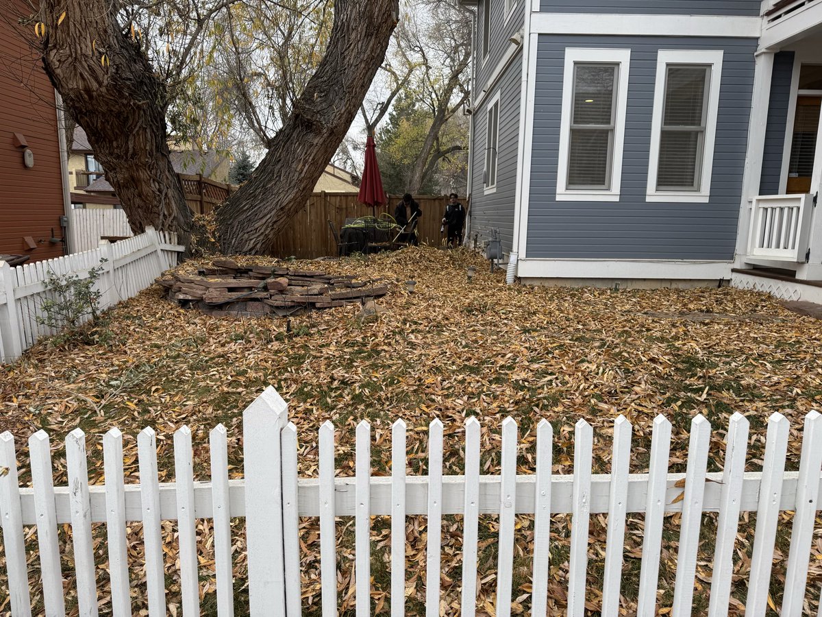 CleanSweepLLC's tweet photo. 🍂 Another satisfied leaf-removal customer!
Their yard is clean, clear, and ready for winter. 🙌

Want the same?
Message us and we’ll handle the cleanup.

#CleanSweepColorado #LeafRemovalExperts https://t.co/Hz27mBbLd2