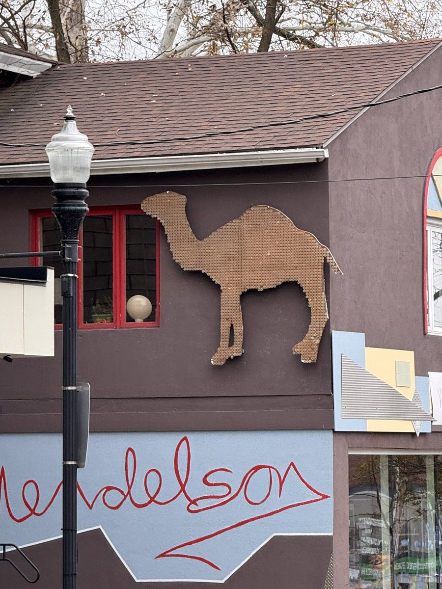 jforcejr84's tweet image. When bae just gets it and sends me random pics of camels 😍🫠🫠 🐫 🐫 🌴 

@DigitalPalm we out here 

#XRPCommunity #XRPHasNFTs 
#HumpAndHustle 

xrp.cafe/collection/cor…