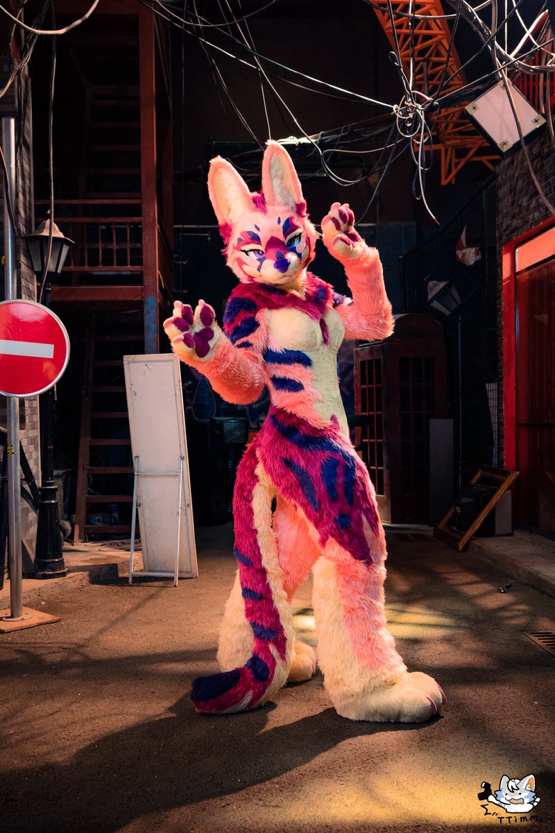 You got me... I surrender~ 
Alright, what's next?

📷: <a href="/TTimm00445711/">TTimm</a> 
🧵: <a href="/wurongcat/">乌绒造物社Wurongcat Fursuit Studio</a> 
#FursuitFriday #furry