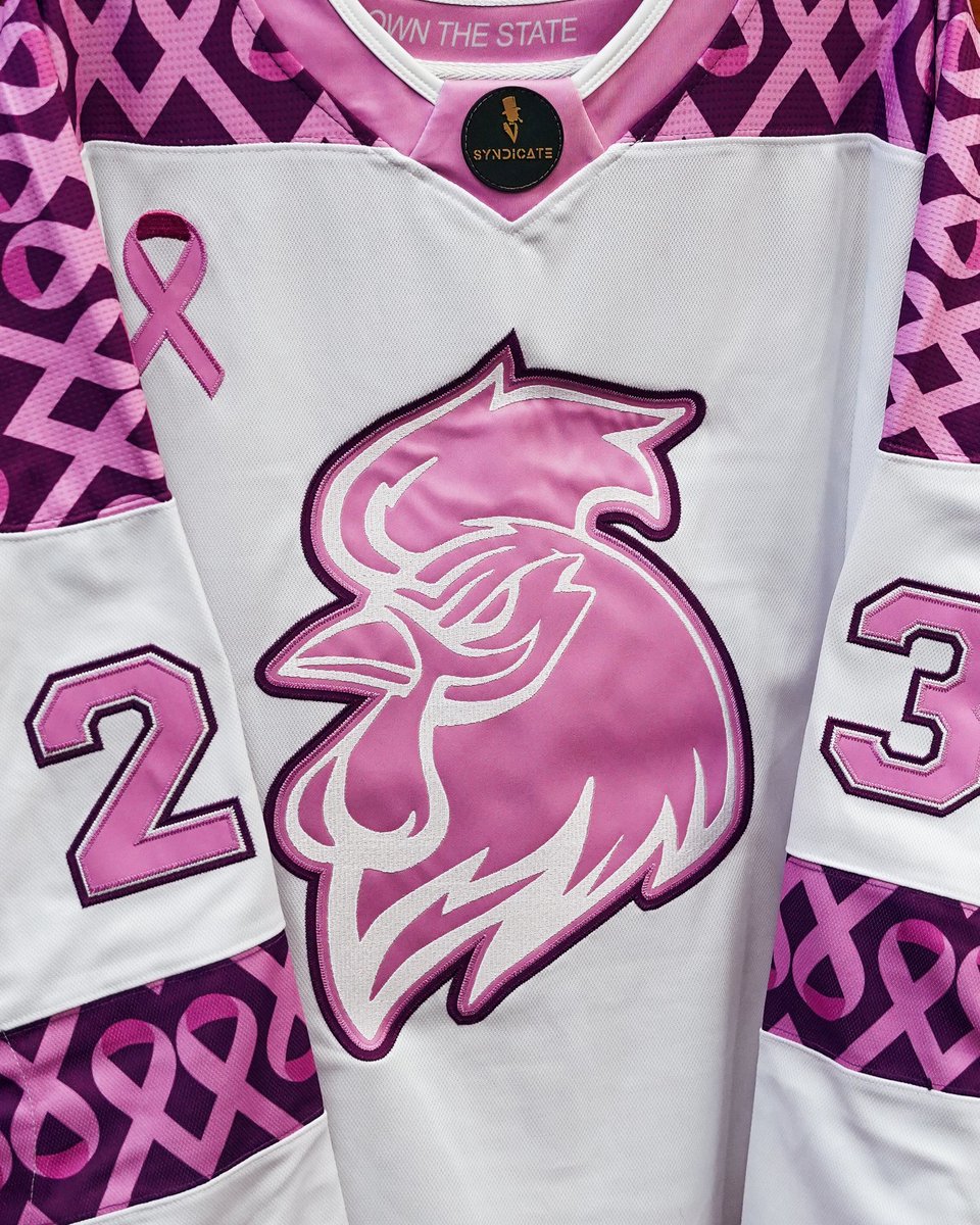 Gamecock Hockey tweet media