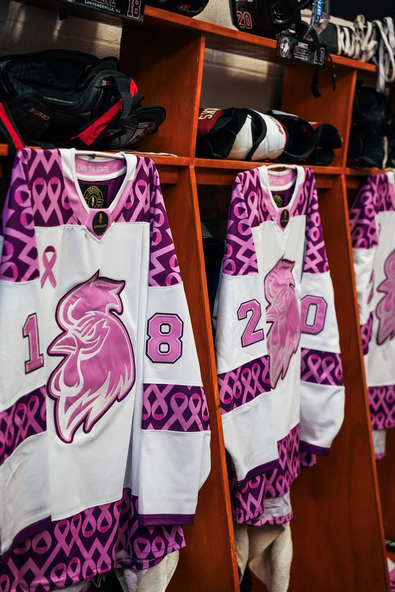 Gamecock Hockey tweet media