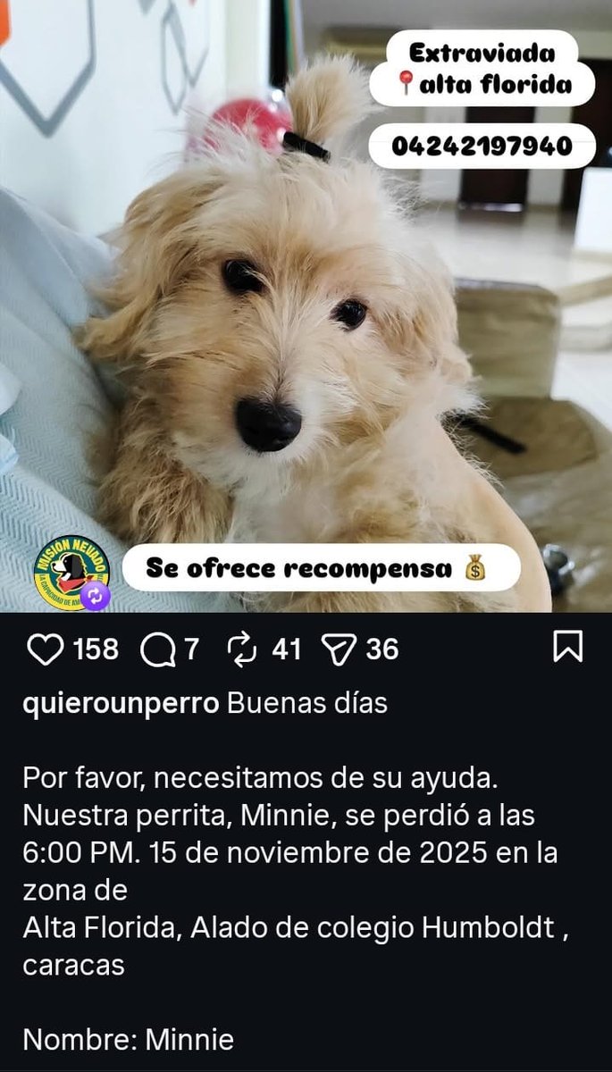 Se busca,  La Florida,  Caracas