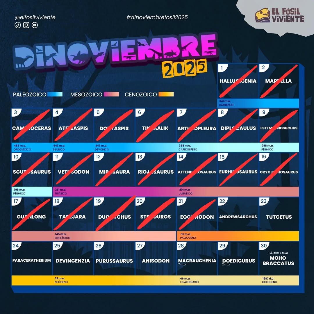 JeremyRengifo2's tweet image. Día 21 del Dinoviembre - Eoconodon
El Eoconodon es un género extinto de mamíferos mesoniquios que vivieron en América del Norte durante el Paleoceno temprano
#Art #Digitalart #paleoart #dinoviembre2025 #dinoviembrefosil2025 #elfosilviviente #eoconodon