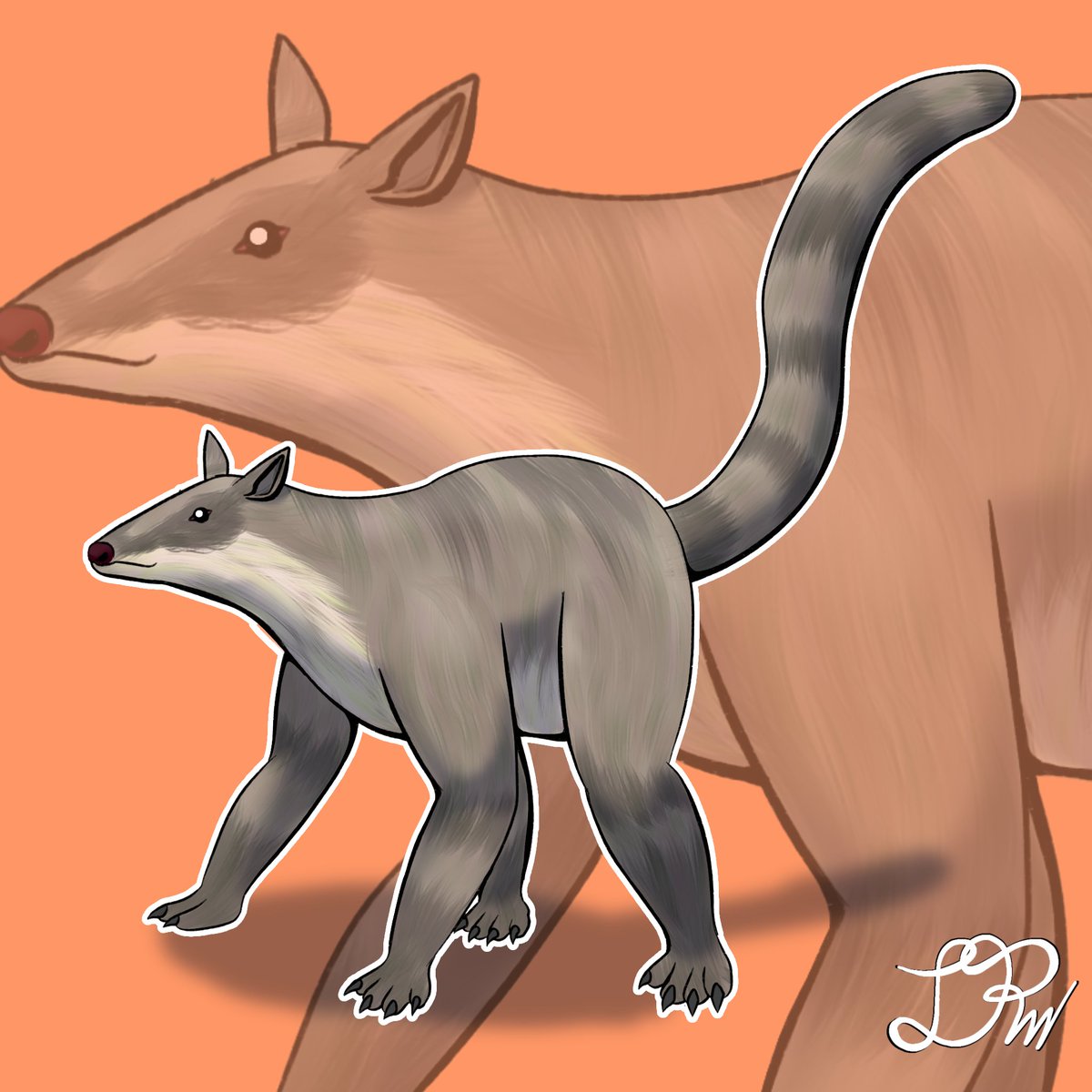 JeremyRengifo2's tweet image. Día 21 del Dinoviembre - Eoconodon
El Eoconodon es un género extinto de mamíferos mesoniquios que vivieron en América del Norte durante el Paleoceno temprano
#Art #Digitalart #paleoart #dinoviembre2025 #dinoviembrefosil2025 #elfosilviviente #eoconodon