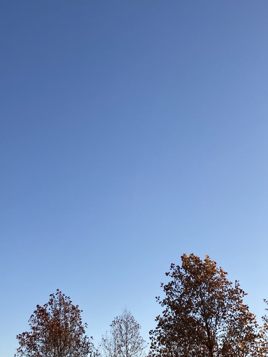 soap_dreamer's tweet image. おはようございます。
11/22(土)もよろしくお願いします。
朝から一仕事を終え、外出します。
秋晴れの空のもと、素敵な一日となりますように……

#空を見上げて