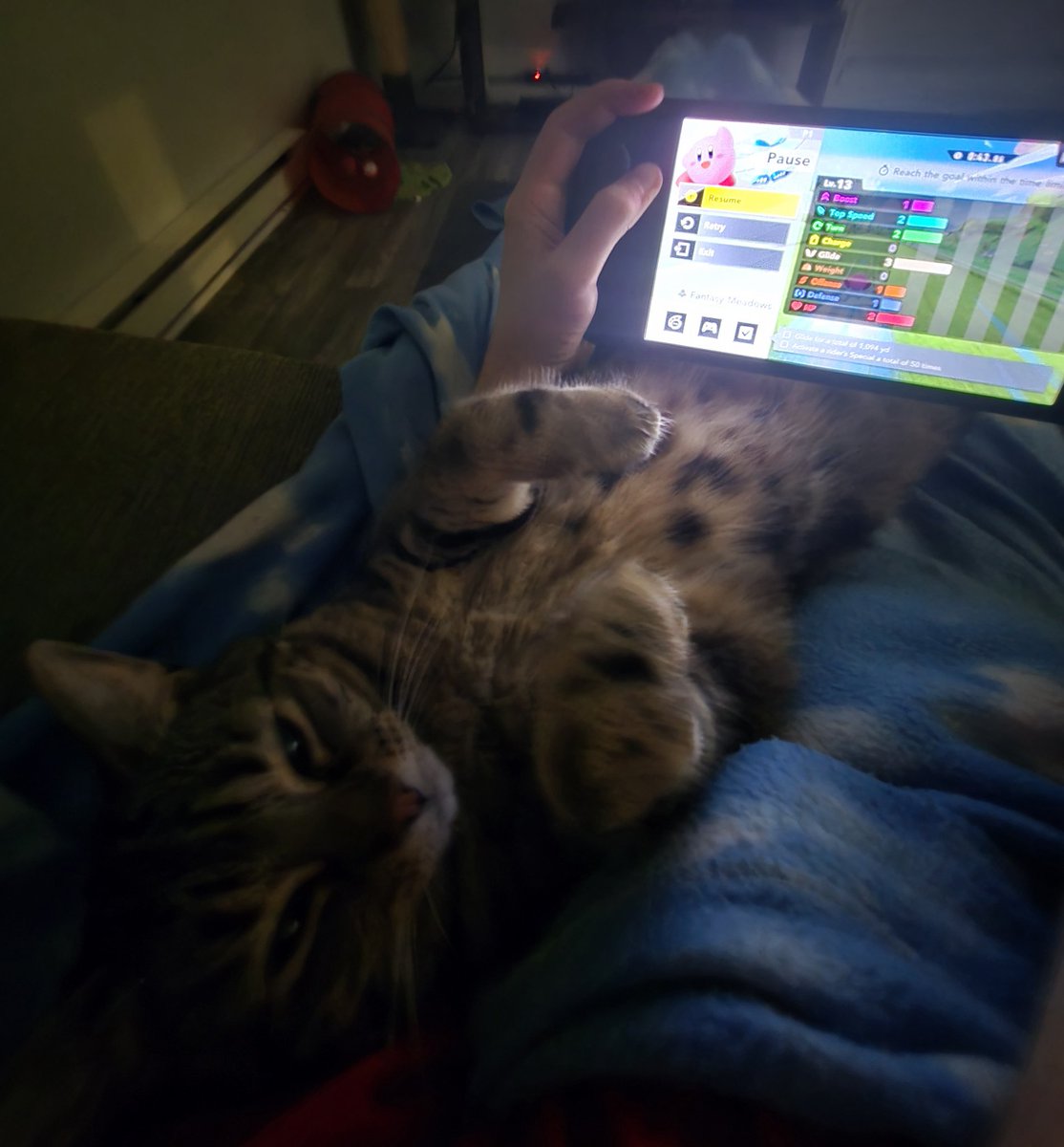 DeliciousJames tweet media