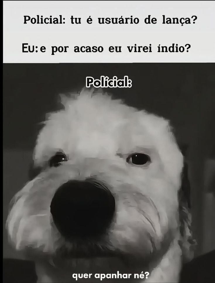 TerrorCotidiano's tweet image. 