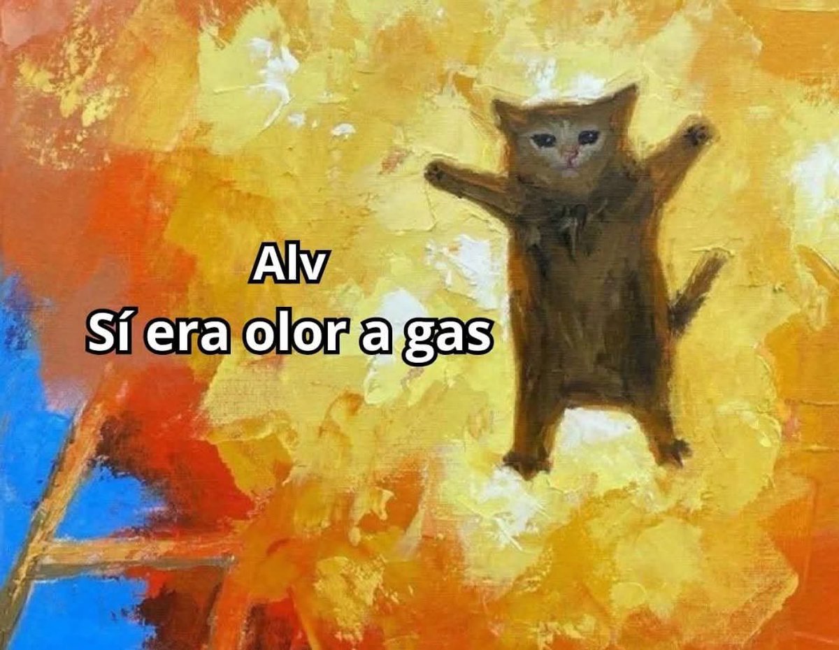 DiloConGatitoz's tweet image. 