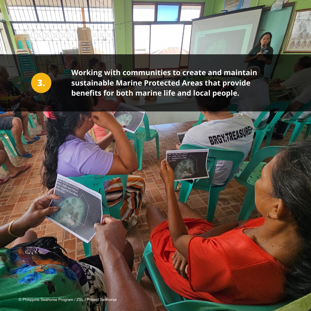 projectseahorse's tweet image. 🌊This #WorldFisheriesDay, we’re highlighting three ways we are reconciling fisheries with marine conservation, at all scales.

To learn more, visit projectseahorse.org

#ProjectSeahorse #SustainableFisheries #EndBottomTrawling #AdvancingMarineConservation #SavingSeahorses