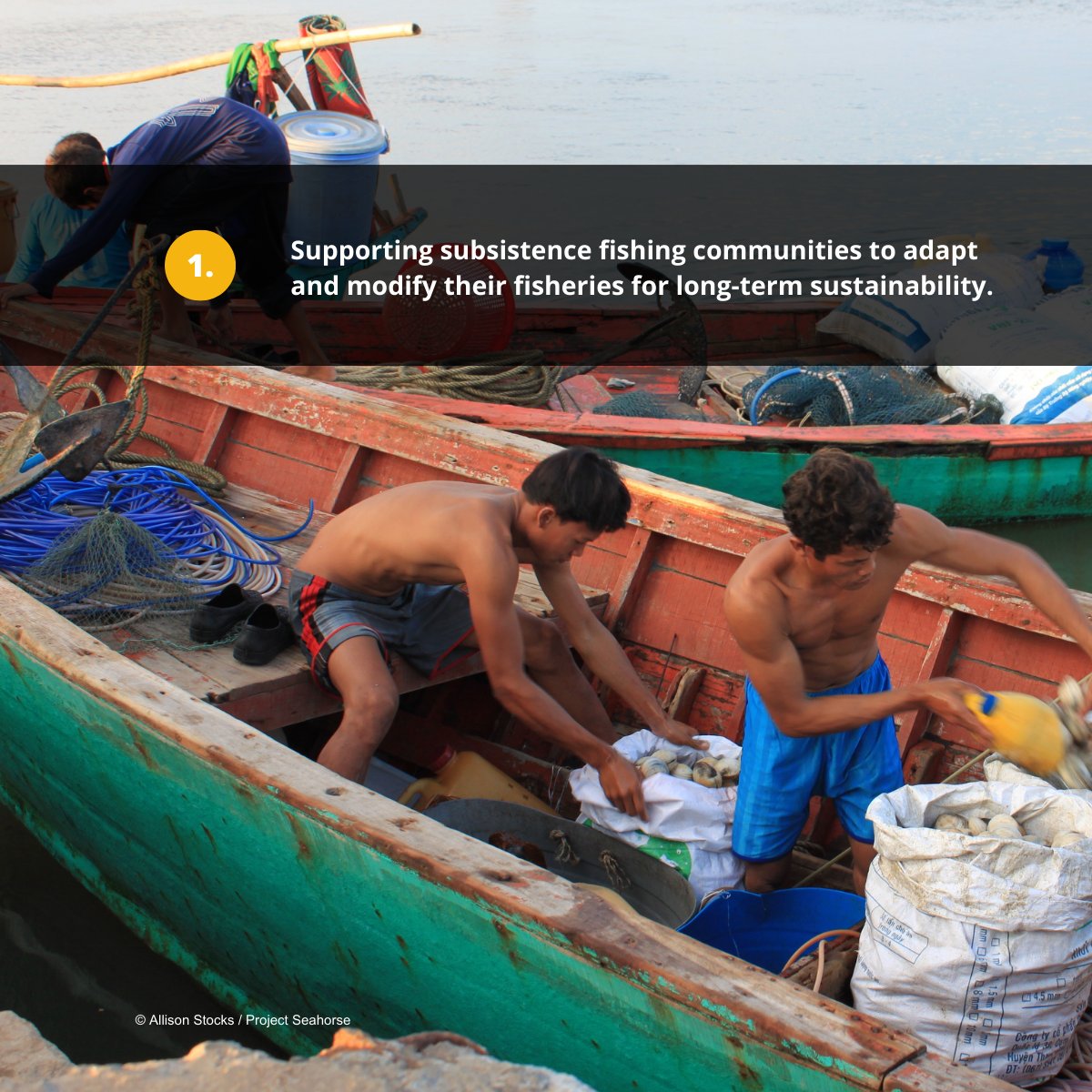 projectseahorse's tweet image. 🌊This #WorldFisheriesDay, we’re highlighting three ways we are reconciling fisheries with marine conservation, at all scales.

To learn more, visit projectseahorse.org

#ProjectSeahorse #SustainableFisheries #EndBottomTrawling #AdvancingMarineConservation #SavingSeahorses