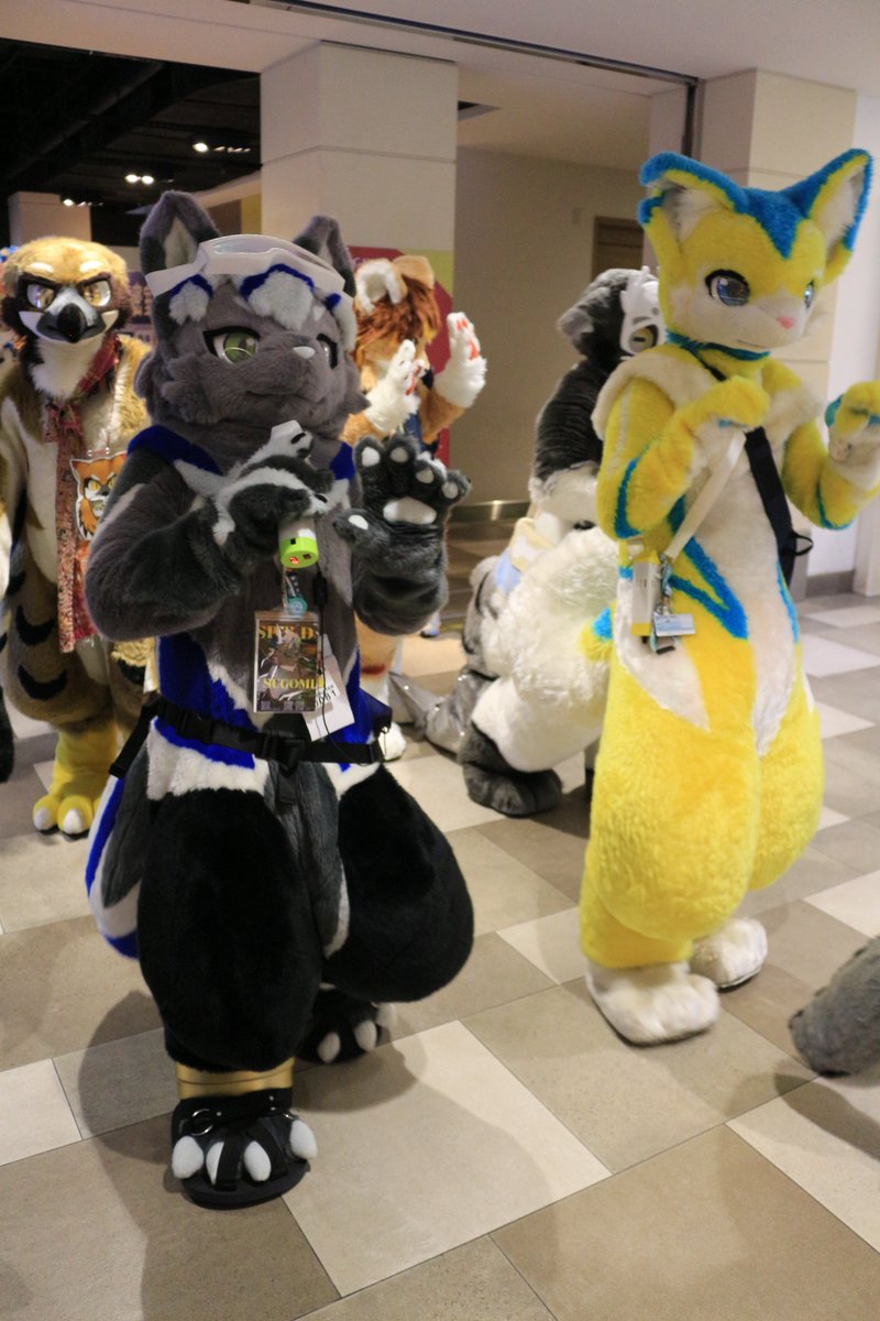 <a href="/SugomiG/">SUGOMI⏩2025獸無限</a> #Infurnity2025 
<a href="/Jace_Hamo/">傑斯➡️Furryday獸曜日</a>