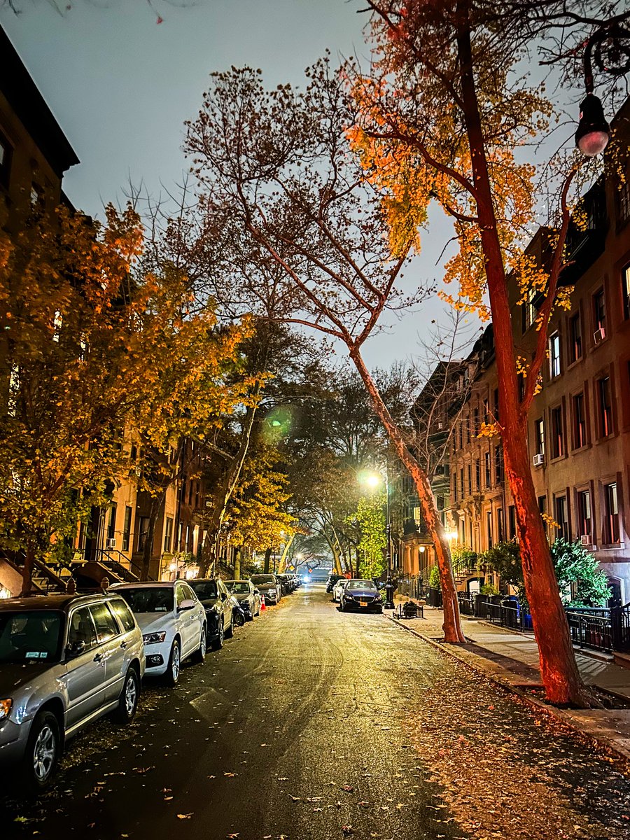 Pure chaos in NYC 😏