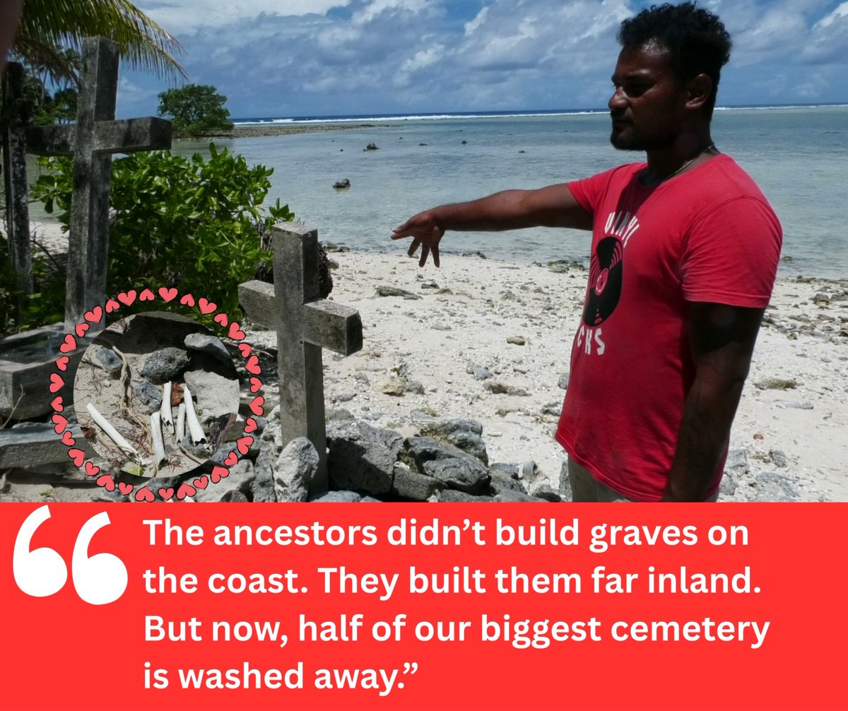 Charley Piringi tweet media