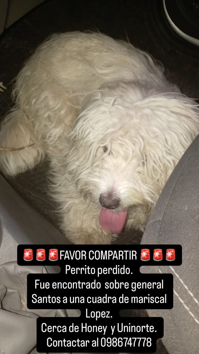 FAVOR COMPARTIR ❤️🐾