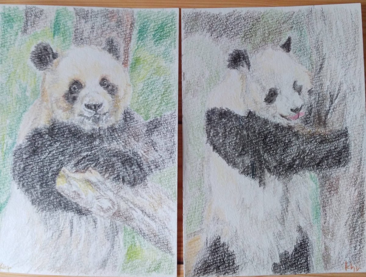 パンダいらないと思う人」という投稿に 「いや絶対必要だと思う」と