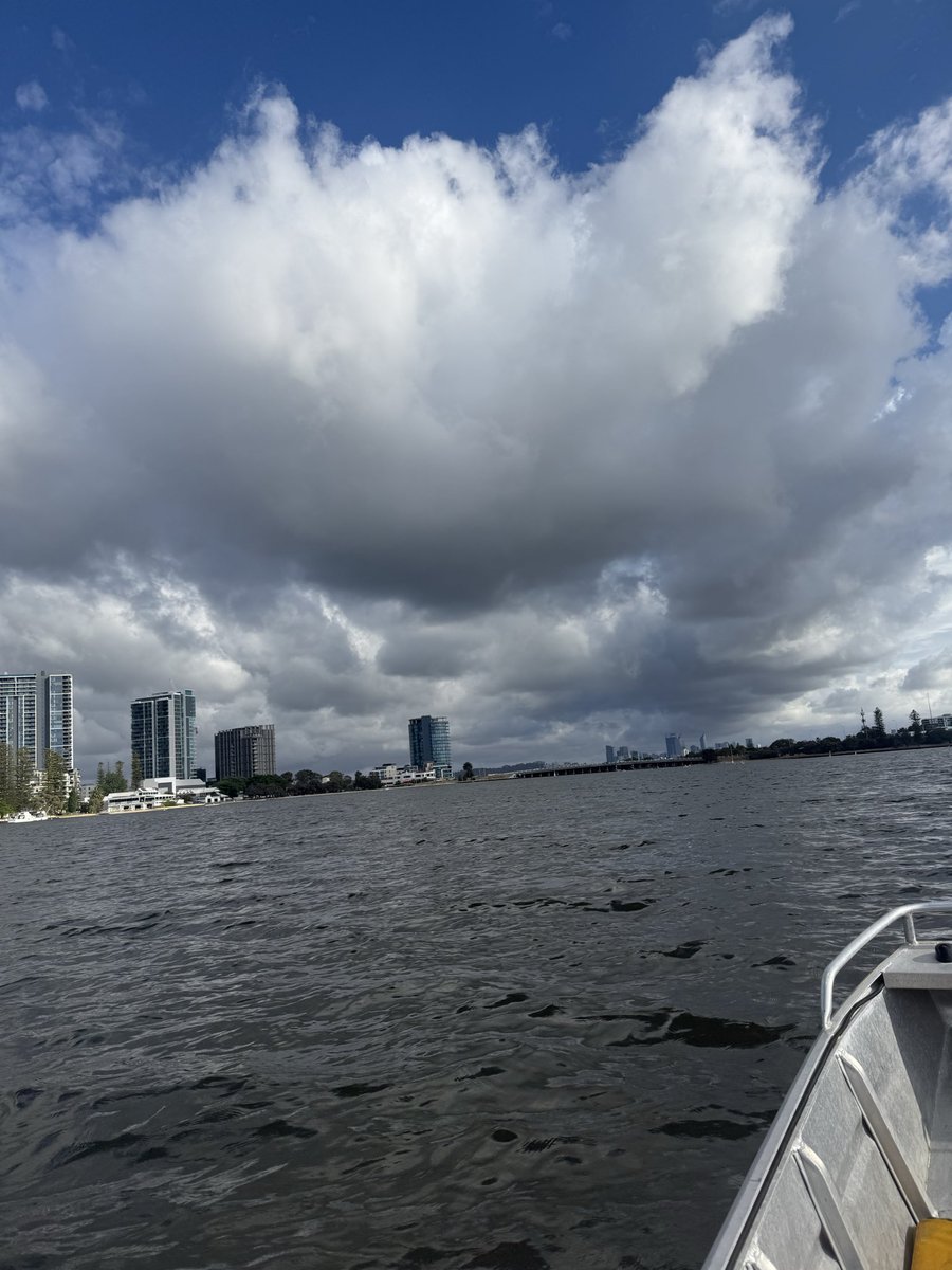 markbeer tweet media