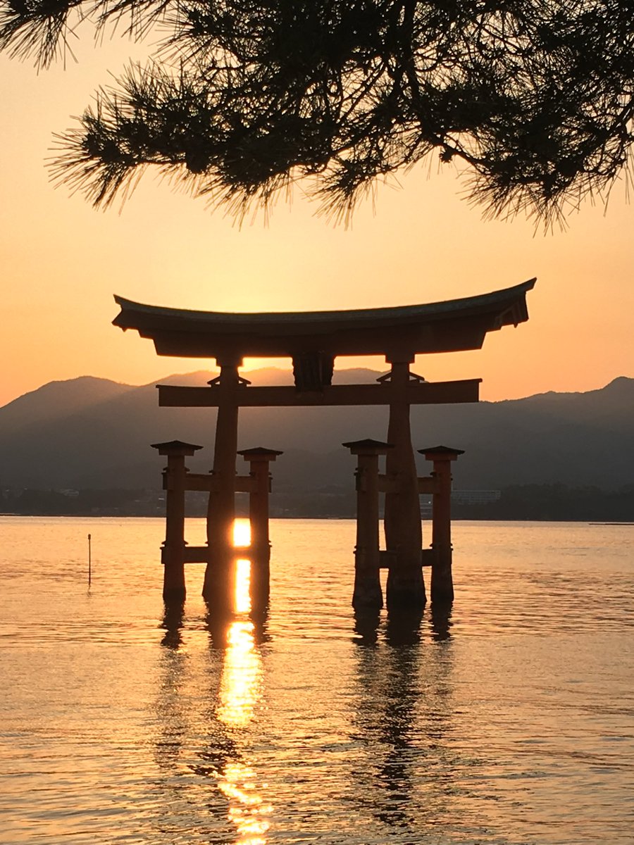 wapple15's tweet image. Miyajima 🇯🇵 #ShadowsReflects