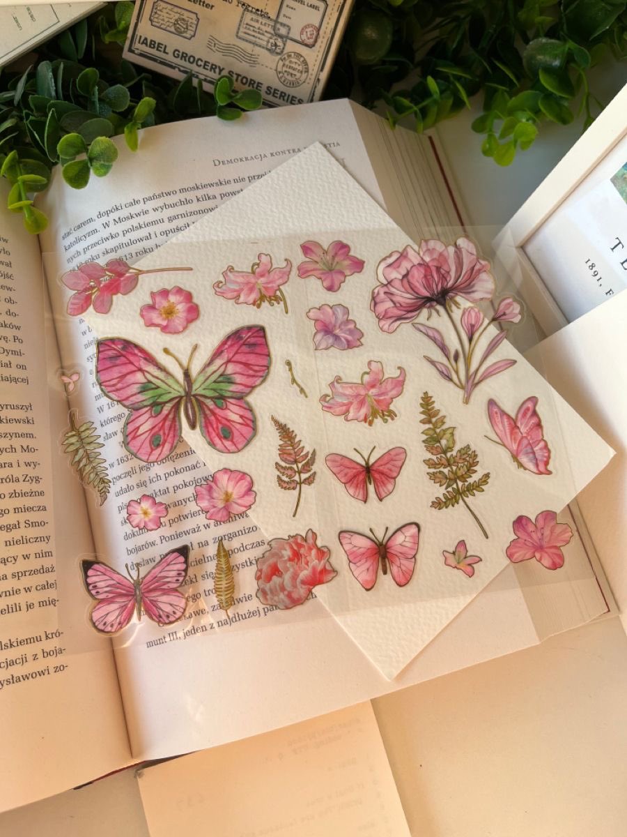 inspéra (@insperarise) on Twitter photo 