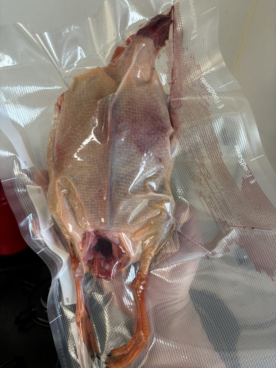 araithehunter's tweet image. フードセーバー買ったからこんなバカみたいなこともできる。
おばちゃんが拾ってきてくれた半矢の鴨。
こちら冷凍保存して年末の地域の餅つき大会に寄贈します🦆（下手くそなのでカルまた取れるかわからんので）