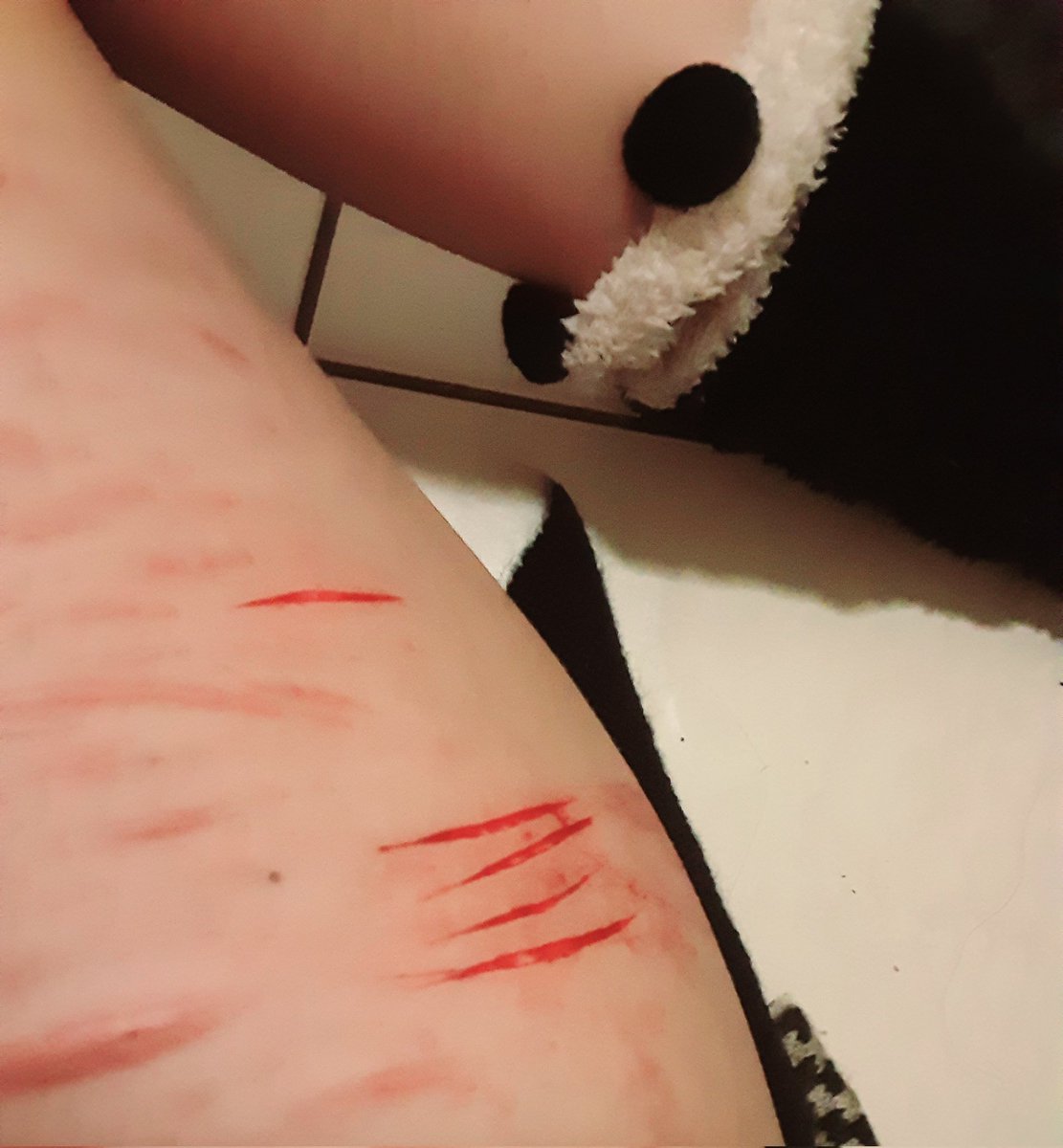 rapetherich's tweet image. 