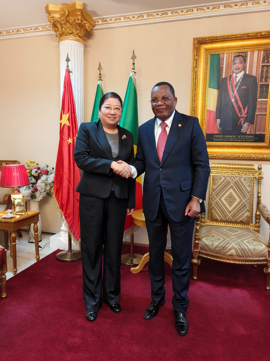 Très ravie de m’entretenir avec S.E.M Jean-Claude GAKOSSO <a href="/DiploBrazza/">Ministère des Affaires Étrangères Rép. Congo 🇨🇬</a> et d’avoir un échange approfondi sur le développement des relations sino-congolaises et la mise en œuvre des acquis du Sommet du FOCAC. Depuis que la partie congolaise assume la coprésidence du #FOCAC, la