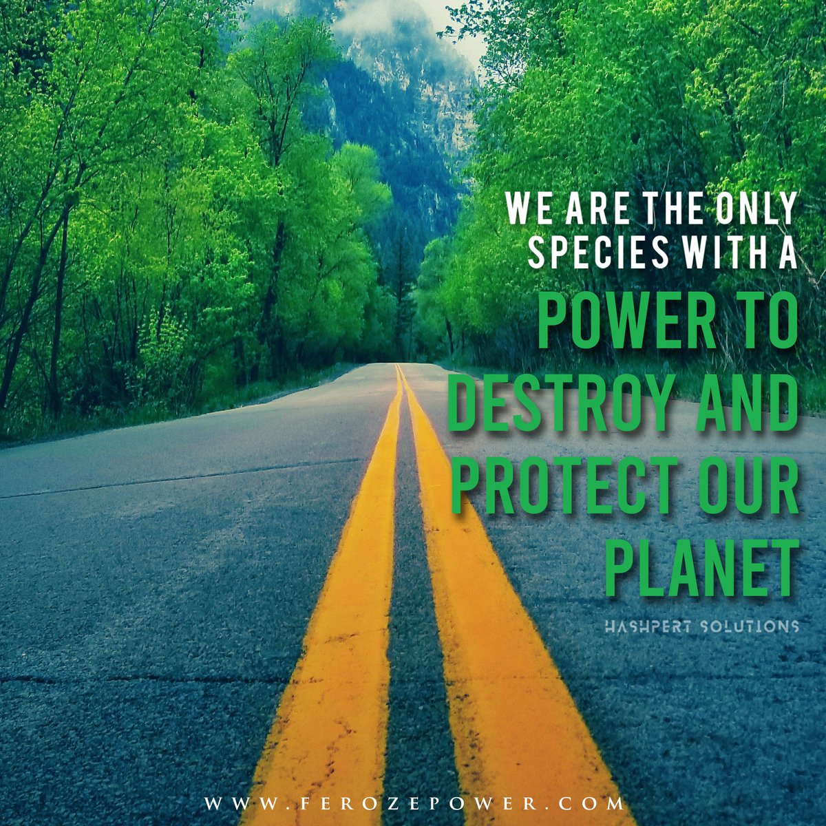 Hashpert's tweet image. Social media designs that hit different. 
Clean, attractive, aesthetic, we create it all.

For more info visit our website hashpertsolutions.com

#HashpertSolutions #GraphicDesign #SocialMediaDesign #Advertising #MediaAgency #DigitalMarketing #MetaAds #GoogleAds