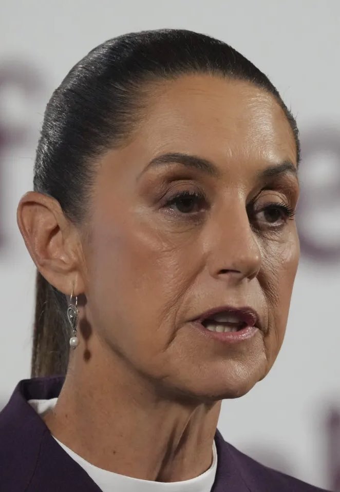 eduardomenoni's tweet image. 🚨🇲🇽| La Presidente comunista de México, Claudia Sheinbaum, sirvienta de los Narcos y de AMLO dice que tú y yo somos BOTS y no existimos. DALE ME GUSTA, RT y COMENTA para que la NarcoPresidenta Claudia vea que somos de carne y hueso y le DUELA aún más la verdad. 🔥