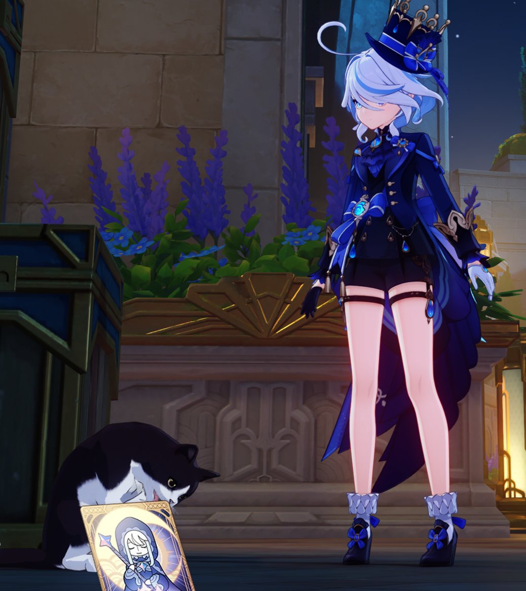 Mewsitive's tweet image. Alright I&apos;m too lazy for a better image so....

😻One Welkin Giveaway😻

To enter; Like RT &amp;amp; Follow!

Ends on november 24th!