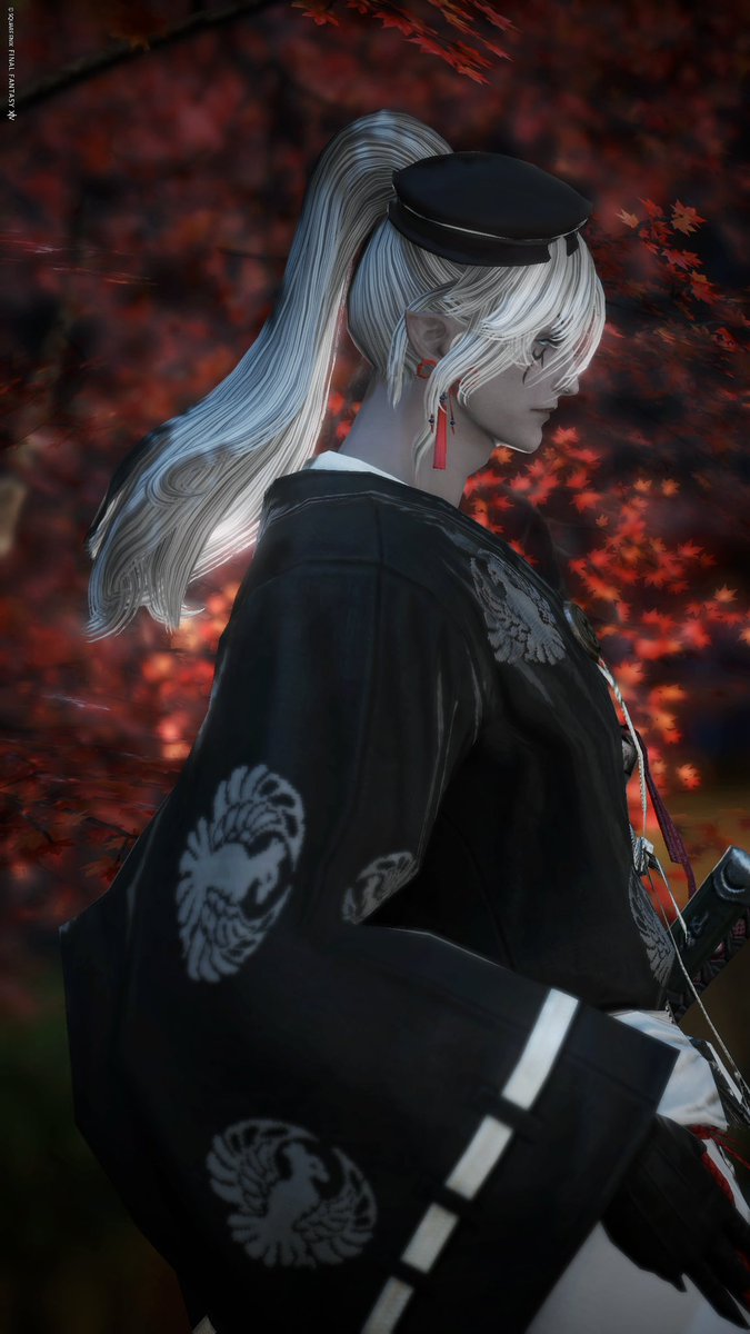 🍁
#本日のエレゼン #エレオス