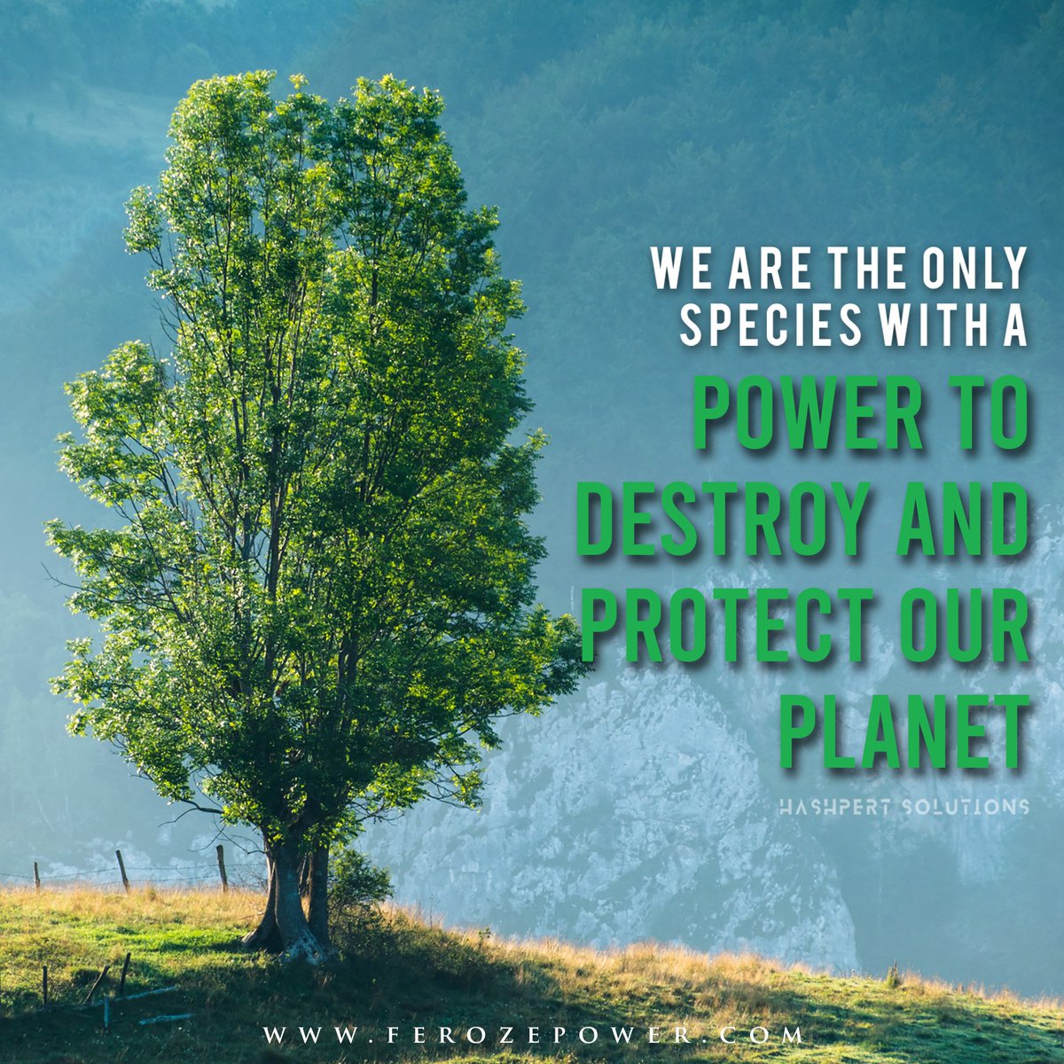 Hashpert's tweet image. Social media designs that hit different. 
Clean, attractive, aesthetic, we create it all.

For more info visit our website hashpertsolutions.com

#HashpertSolutions #GraphicDesign #SocialMediaDesign #Advertising #MediaAgency #DigitalMarketing #MetaAds #GoogleAds