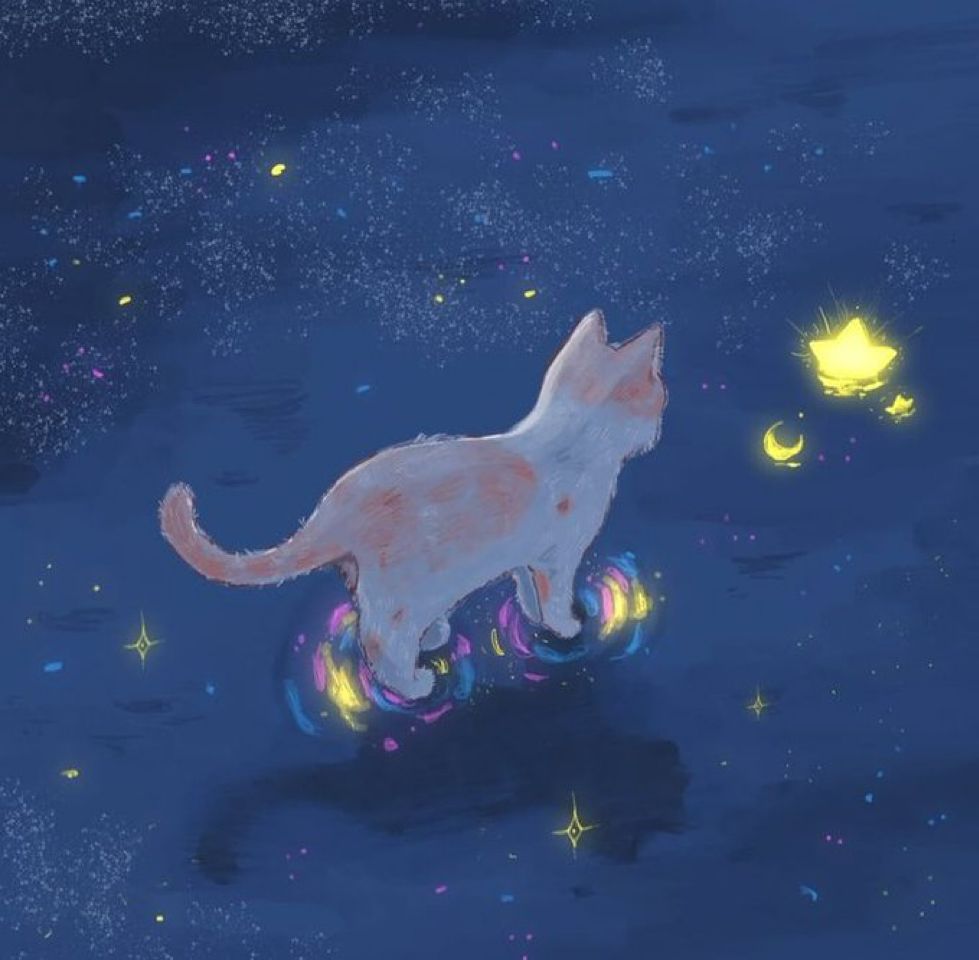 cutedreamvibes's tweet image. 