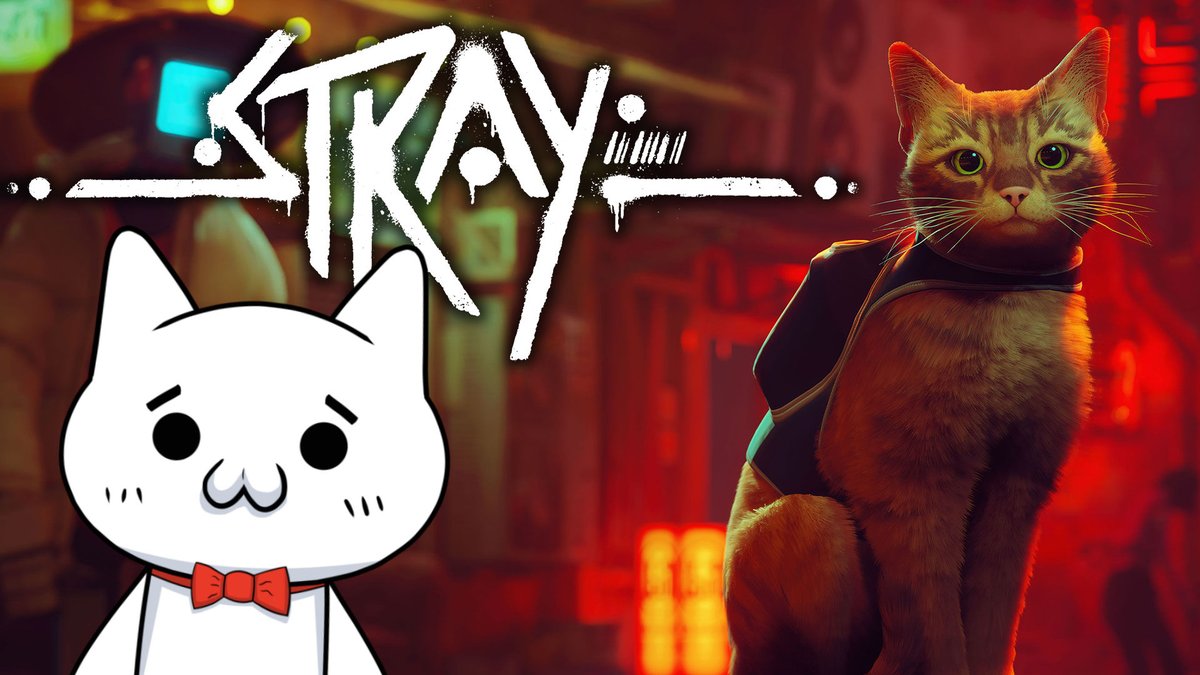 三毛猫♡ 三毛猫はなこ (@hanako20180721) / Posts / X