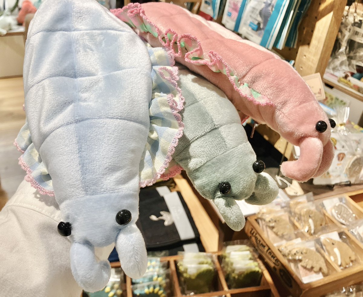 THESTUDYROOMuen's tweet image. おはようございます☀
本日よりCHAYU CHAYUさんスタートです🦕✨

人気商品につきご購入はお一人様一点までとさせていただきます。どうぞご了承くださいませ🙇‍♀️
お求めの方はお早めにご来店ください〜🦖💨

スタッフ🦋