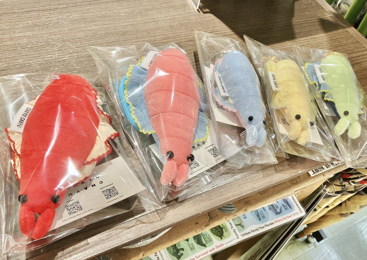 THESTUDYROOMuen's tweet image. おはようございます☀
本日よりCHAYU CHAYUさんスタートです🦕✨

人気商品につきご購入はお一人様一点までとさせていただきます。どうぞご了承くださいませ🙇‍♀️
お求めの方はお早めにご来店ください〜🦖💨

スタッフ🦋