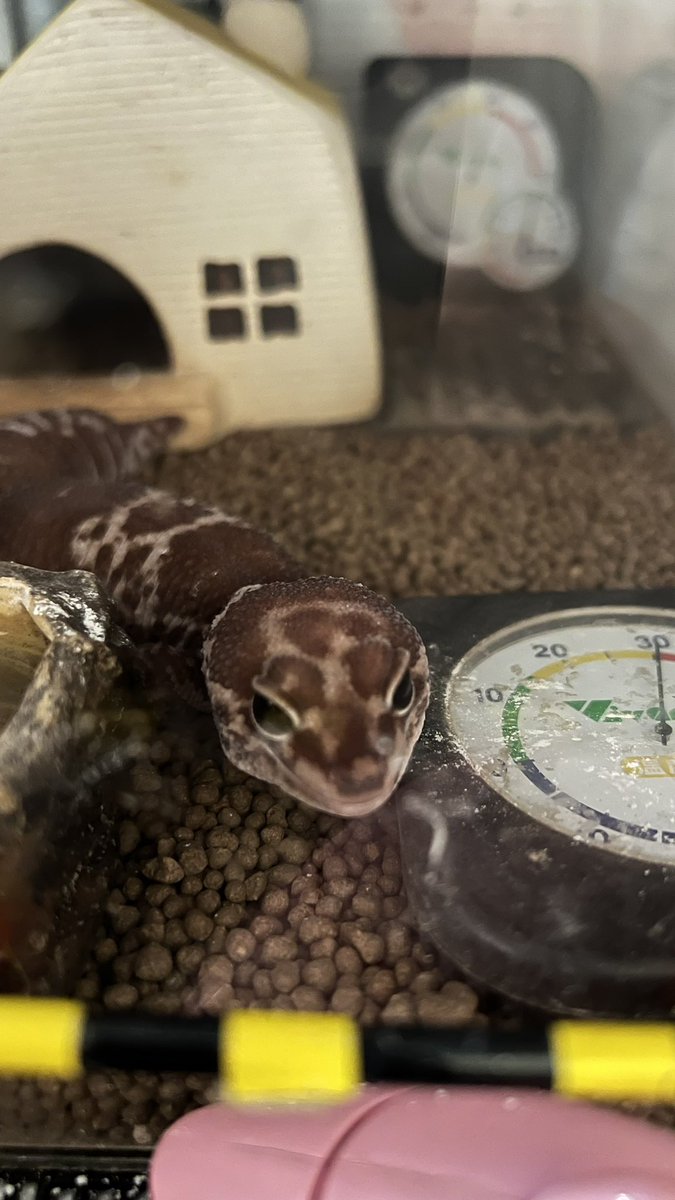 ニシアフ　11月22日(土)

今日は何の日
小雪、いい夫婦、大工さん、ボタン、回転寿司記念日、ペットたちに感謝する日、長野県りんご、ふるさと誕生日、大人、マシュー・マコノ日、人事戦略を考える日、あにまるすまいる、いいフルフル、愛ひとつぶ、韓国キムチ、いいブーブー、甘酒ヌーボー、夫婦の日